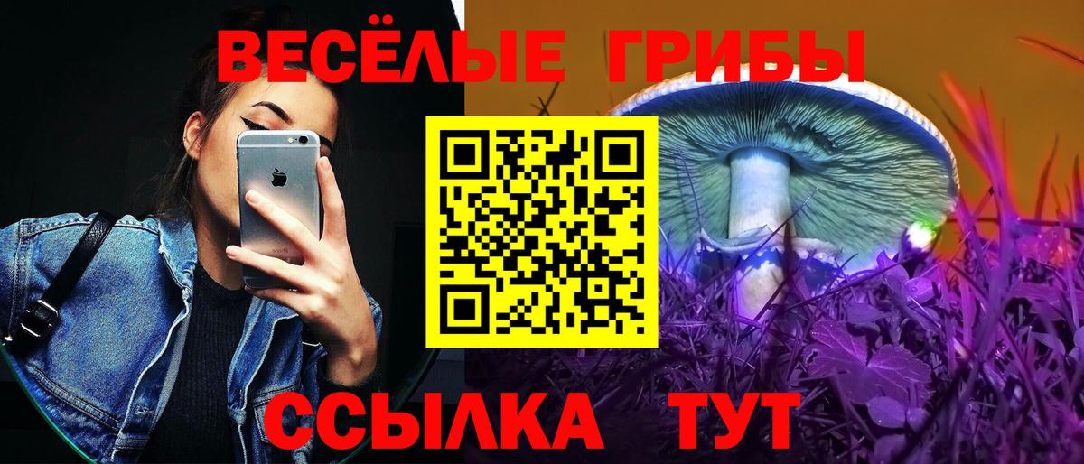 Галлюциногенные грибы мицелий Ишим