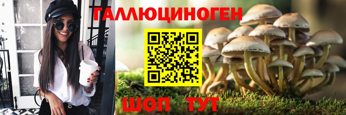 Галлюциногенные грибы GOLDEN TEACHER  Галлюциногенные грибы Psilocybine cubensis  Вход с VPN  Ишим 